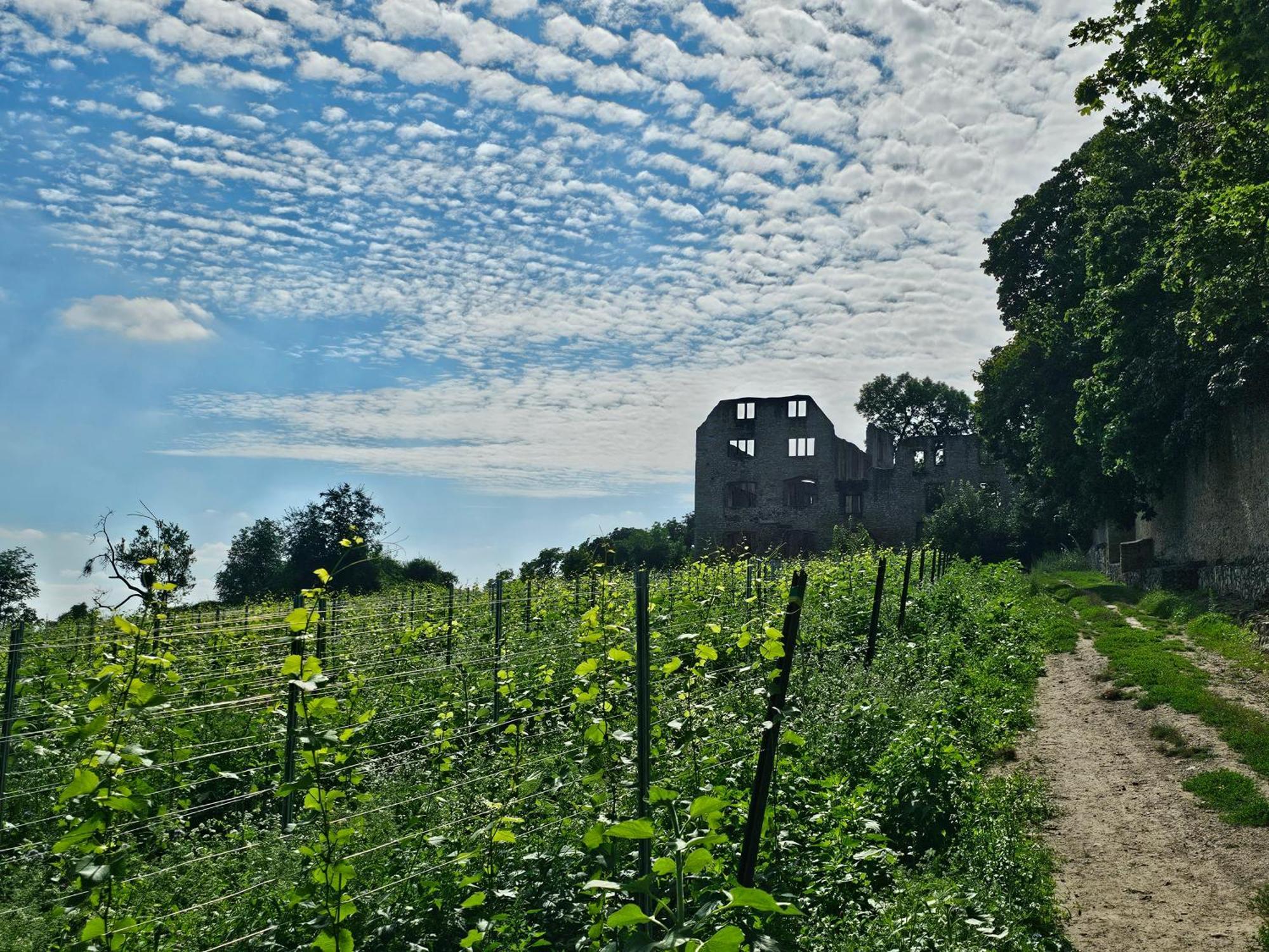 Moderne Doppelhaushaelfte In Oppenheim Villa Luaran gambar